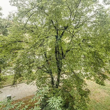 Rentplanet - Kosciuszki * Βρότσλαβ