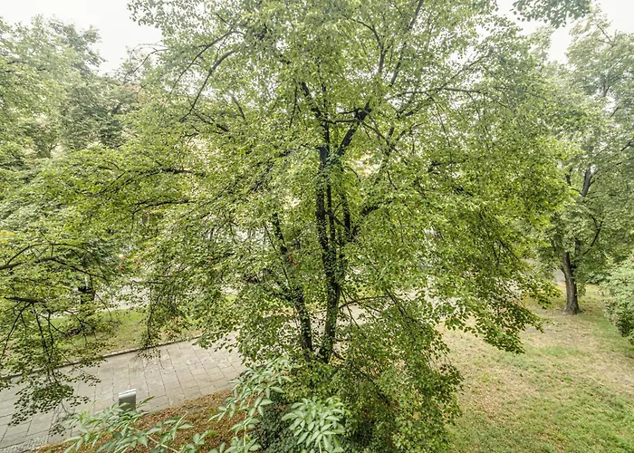 Rentplanet - Kościuszki * Wrocław